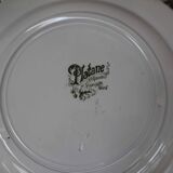 6 Terre de Fer flat plates, Platane St Amand model