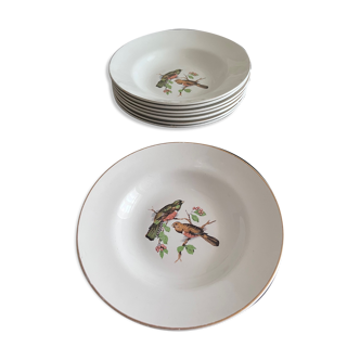 9 plates decorated with birds