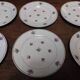 Set of six dessert plates Moulin des Loups Saint Amand Navarre pattern