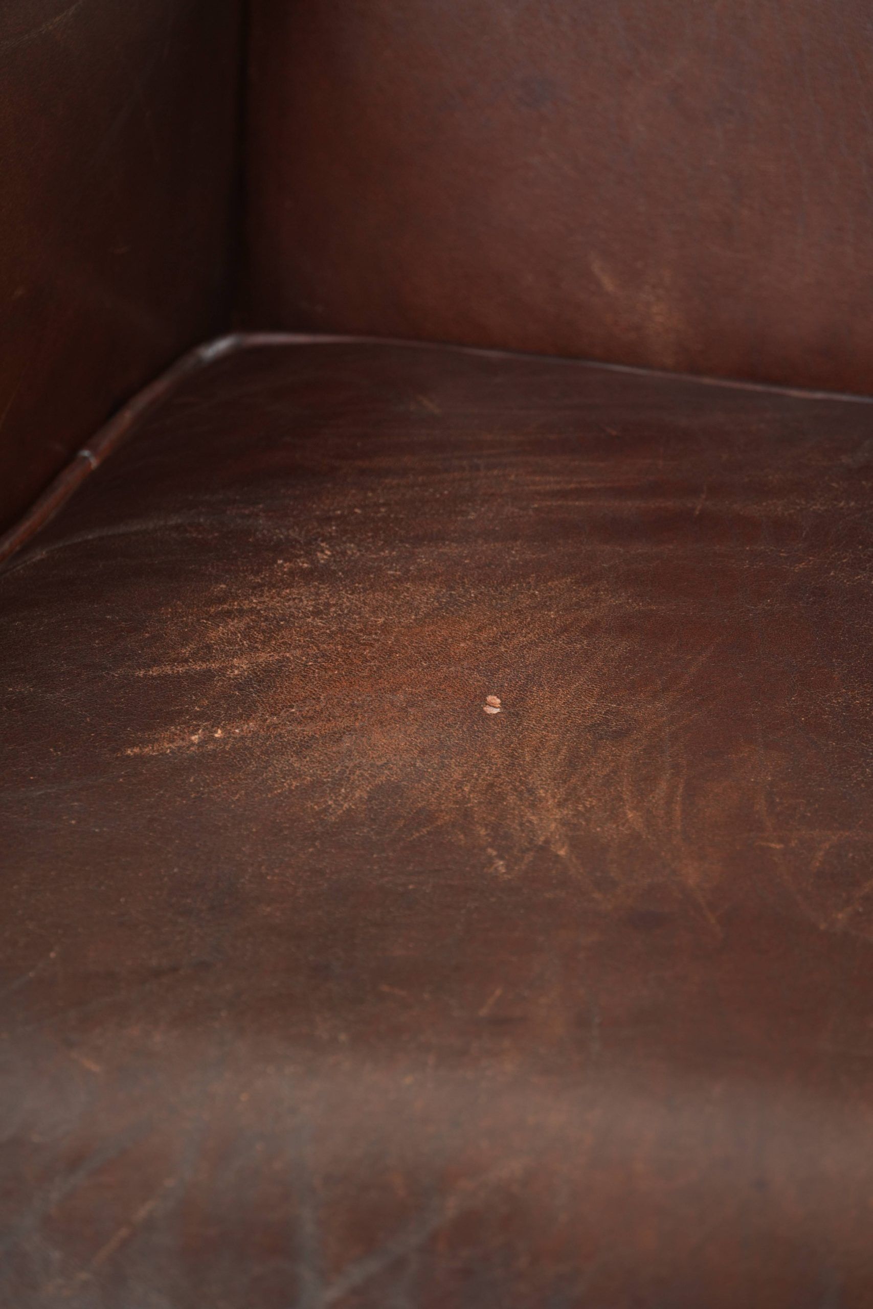 Set of 2 subtle sheepskin wingback armchairs in English style
