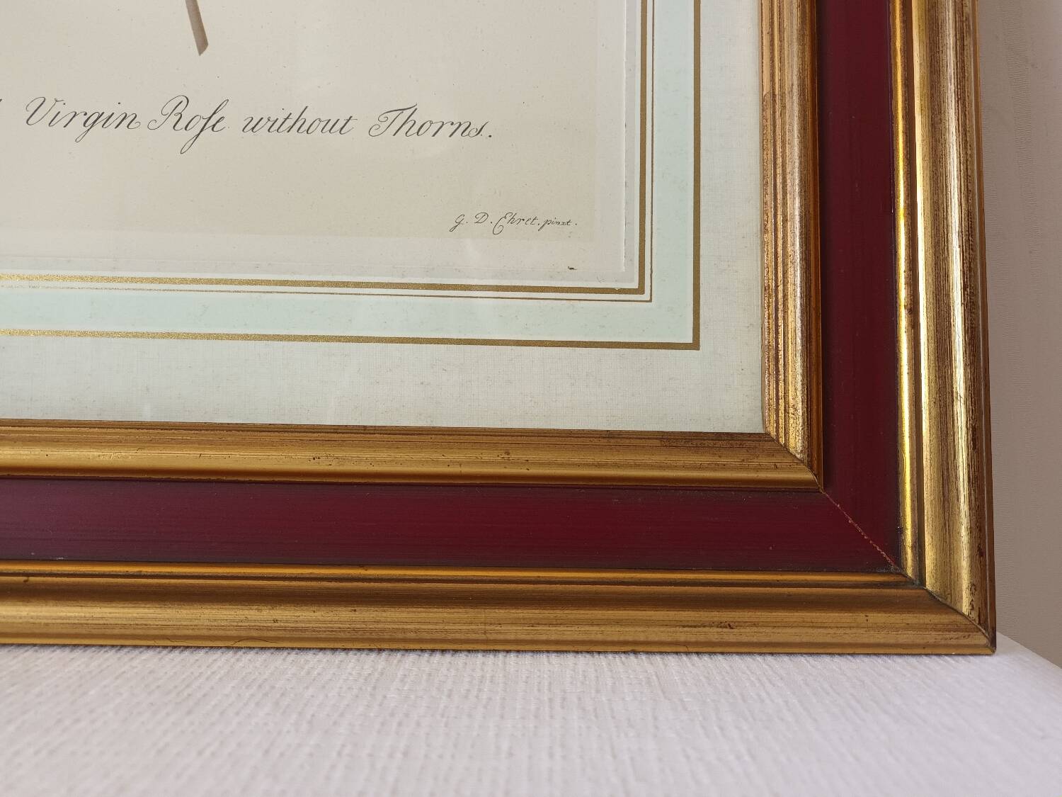 Vintage framed botanical poster