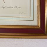 Vintage framed botanical poster