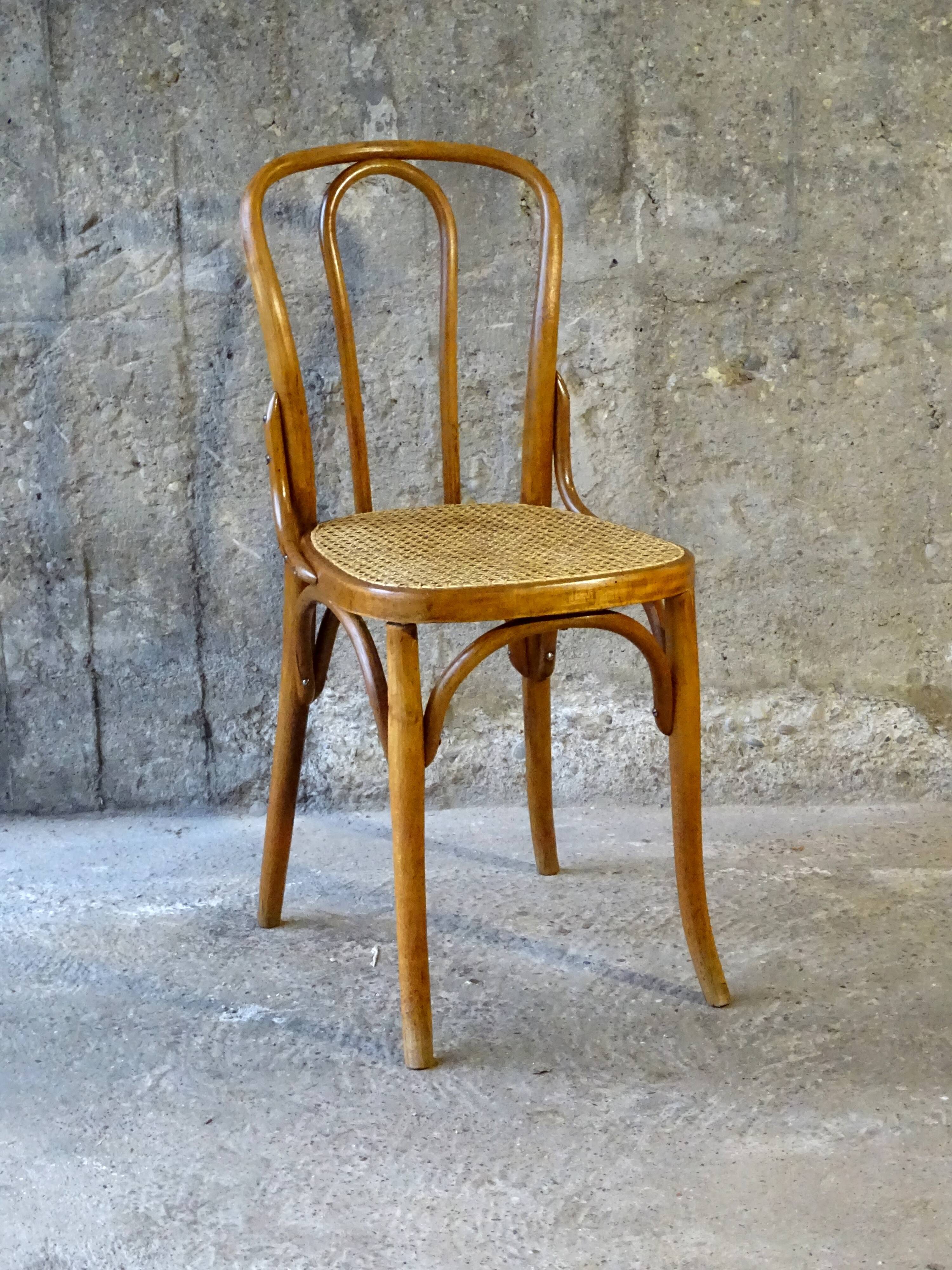 Canned bistro chair Fischel N°113, circa 1925