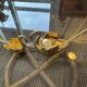 Pair of golden salt cellars in Limoges porcelain shaped like swans