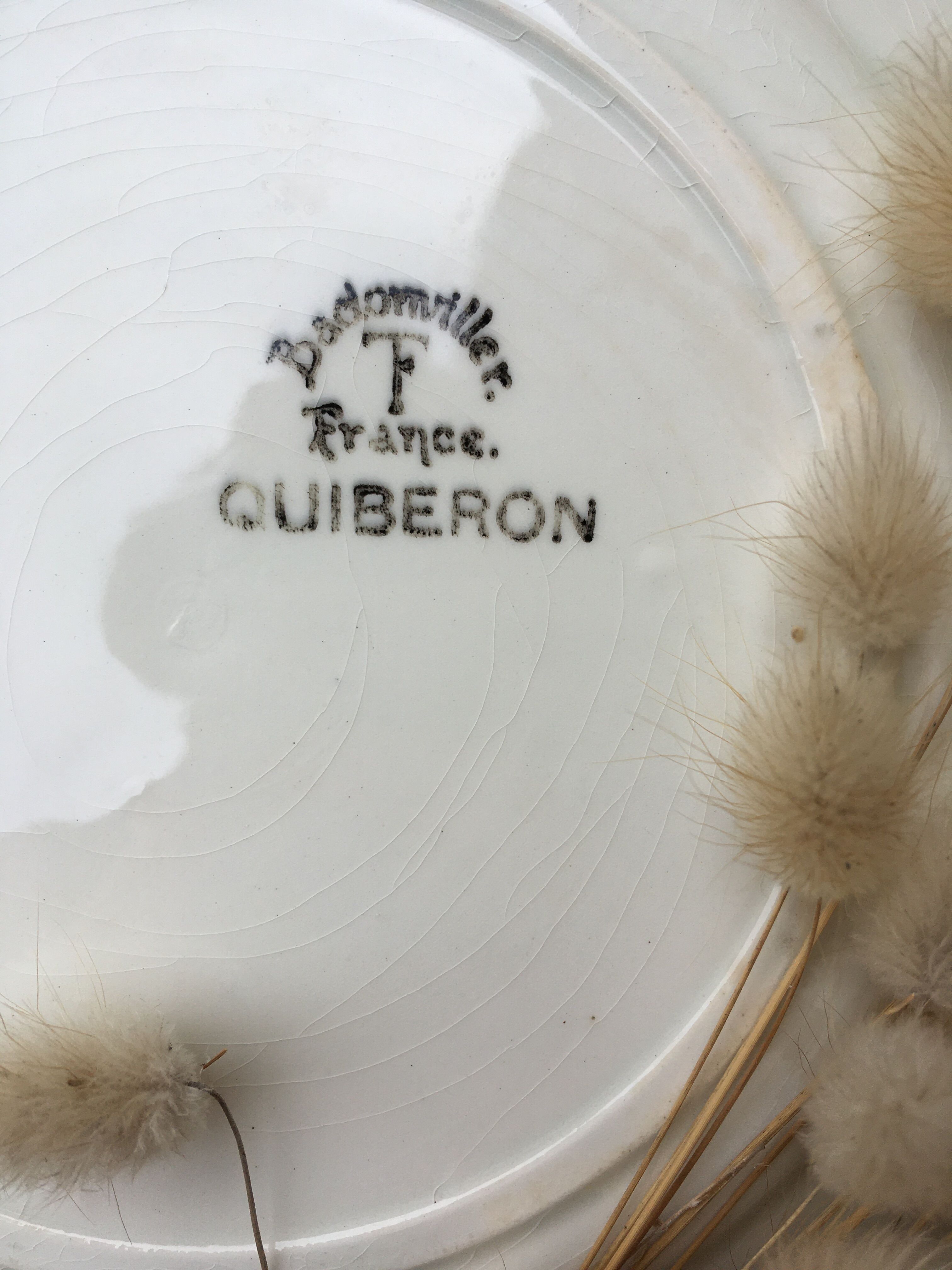 Set of 5 plates Badonviller Quiberon