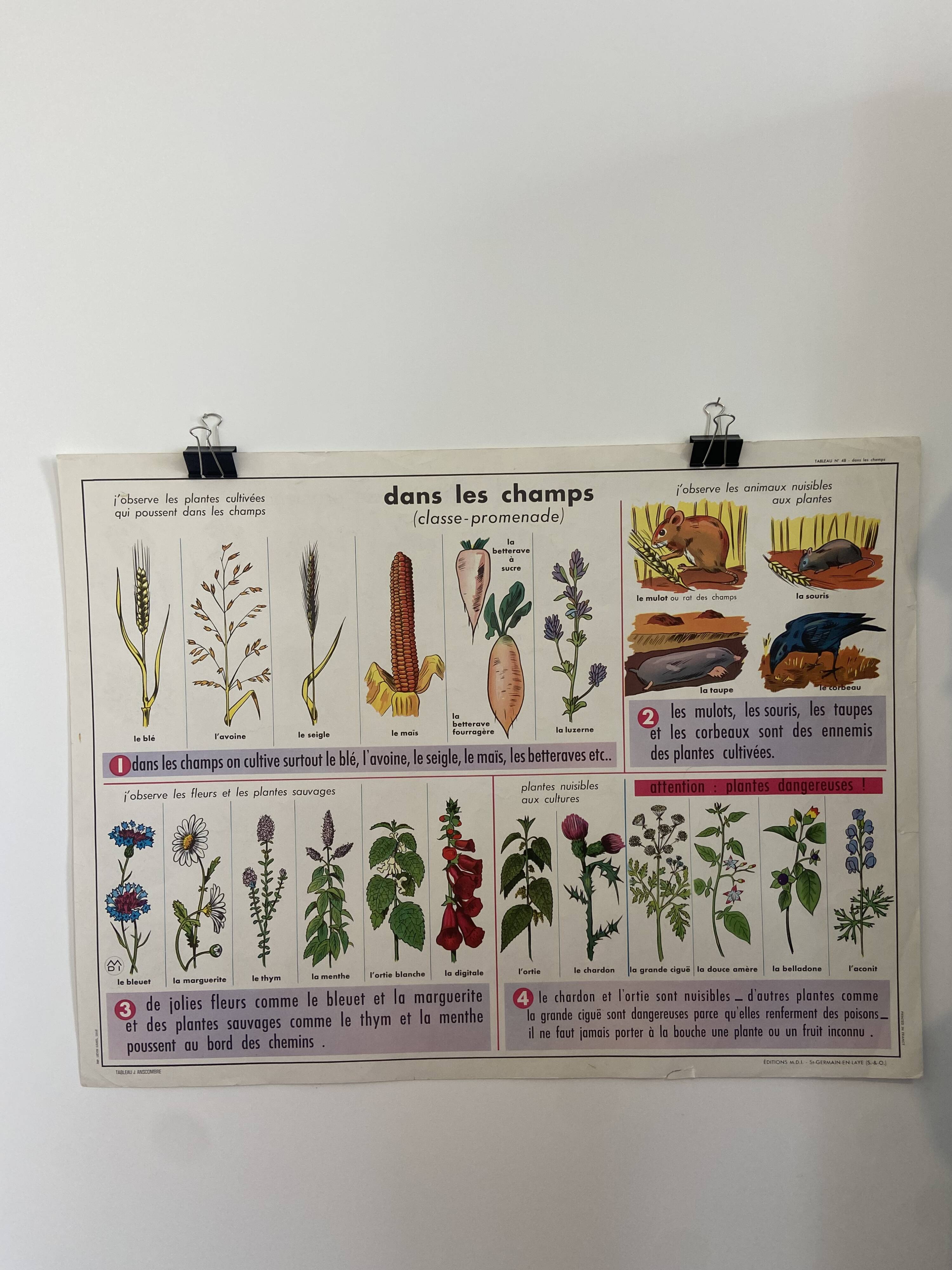 Vintage educational poster