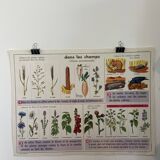 Vintage educational poster