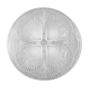 lalique coupe coquille