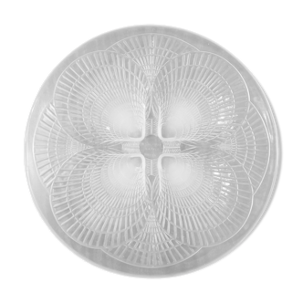 Lalique shell cut