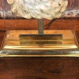 Neoclassical lamp face of the god Pan on Mount Altuglass and 50'S gold metal