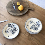 11 assiettes Terre de Fer Aubepine