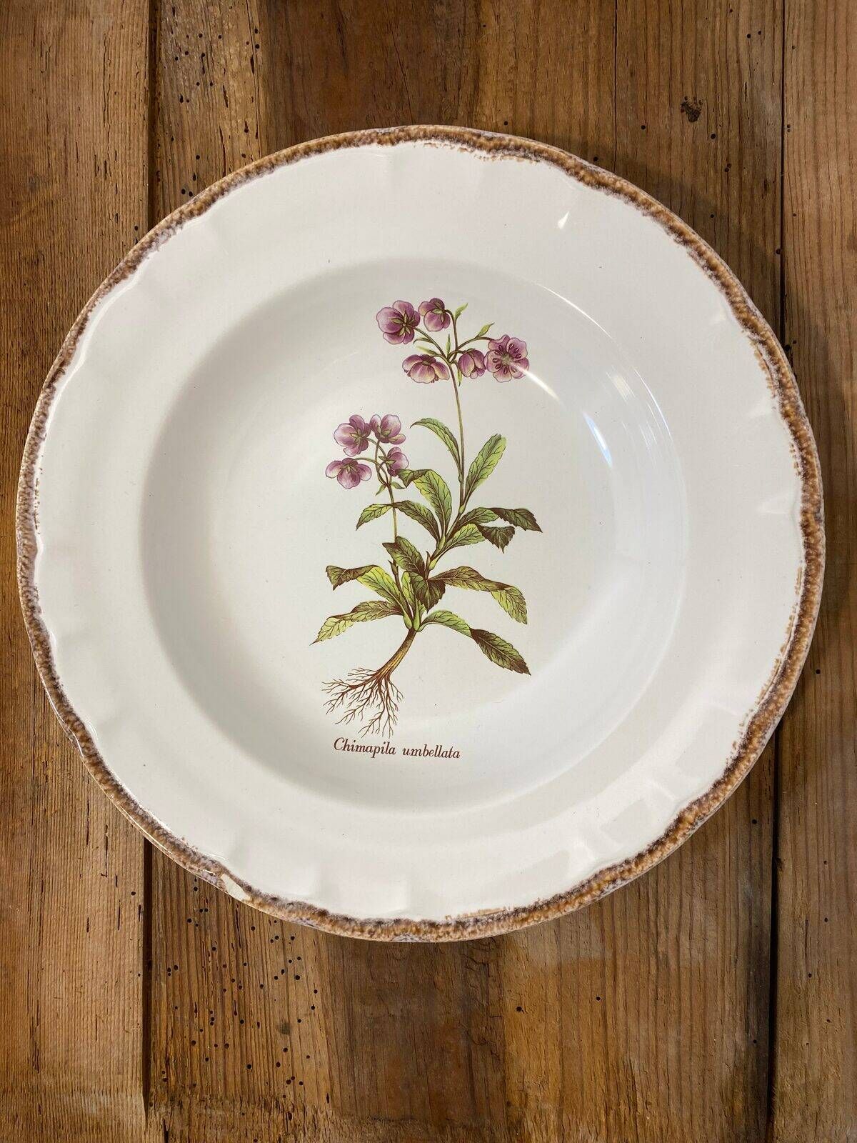 Set of 5 botanical deep plates, ADP Haute Provence