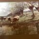 Frame with a countryside landscape