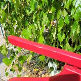 Valet de chambre double rouge