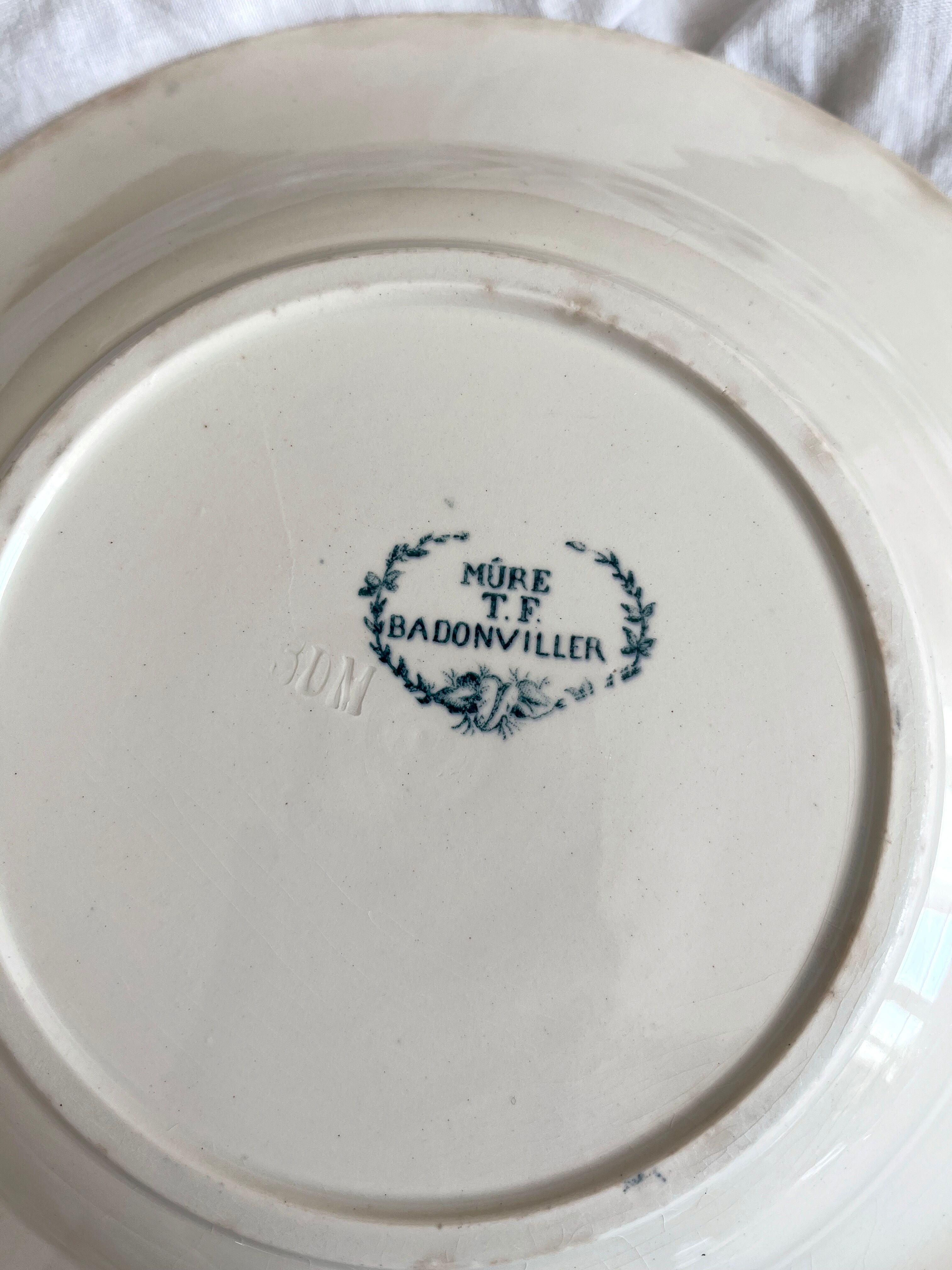 6 hollow plates in blackberry iron earth, Badonviller circa 1900