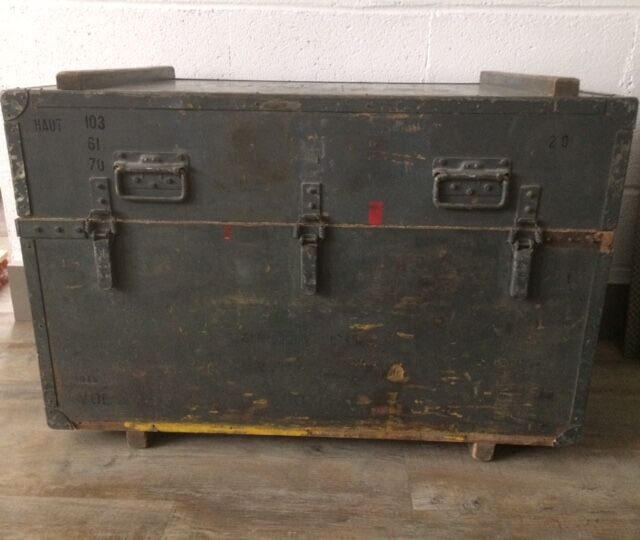 Transport trunk