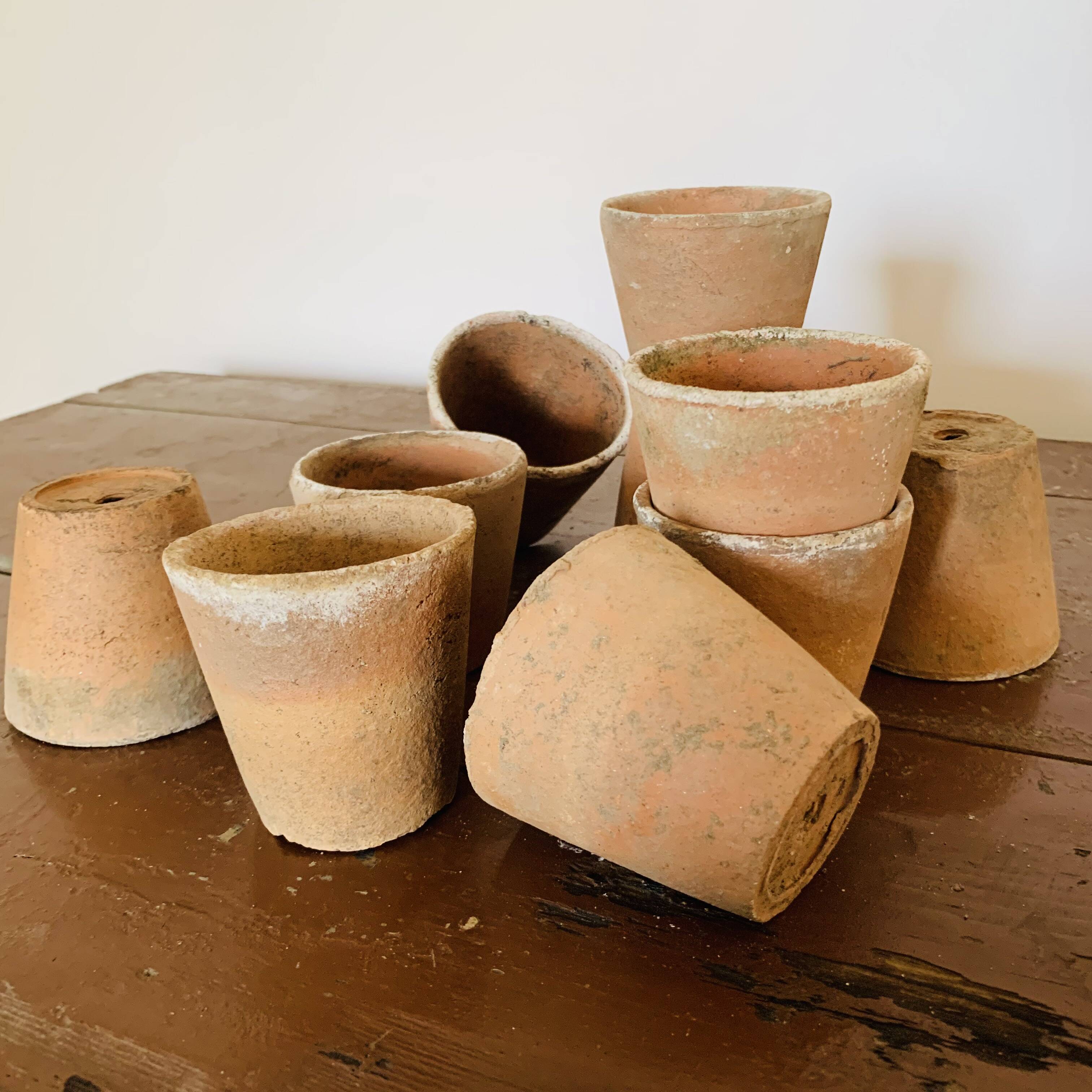 Lot of 10 terracotta pots circa 1930 graineterie