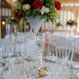 Glass Martini Vase - Perfect for your decorations
