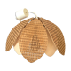 Petal suspension