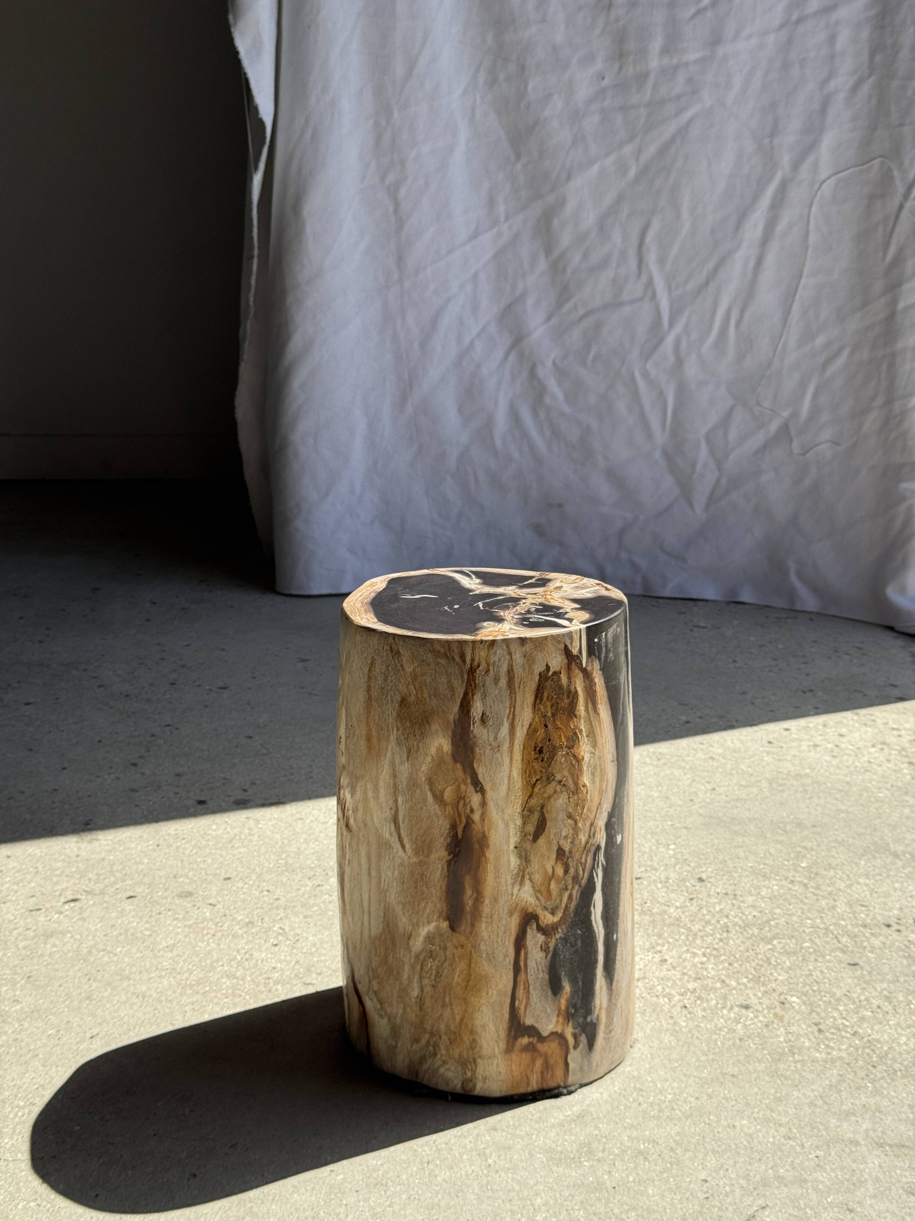 Petrified wood side table, black heart, beige bark, H35 D22 - 3330