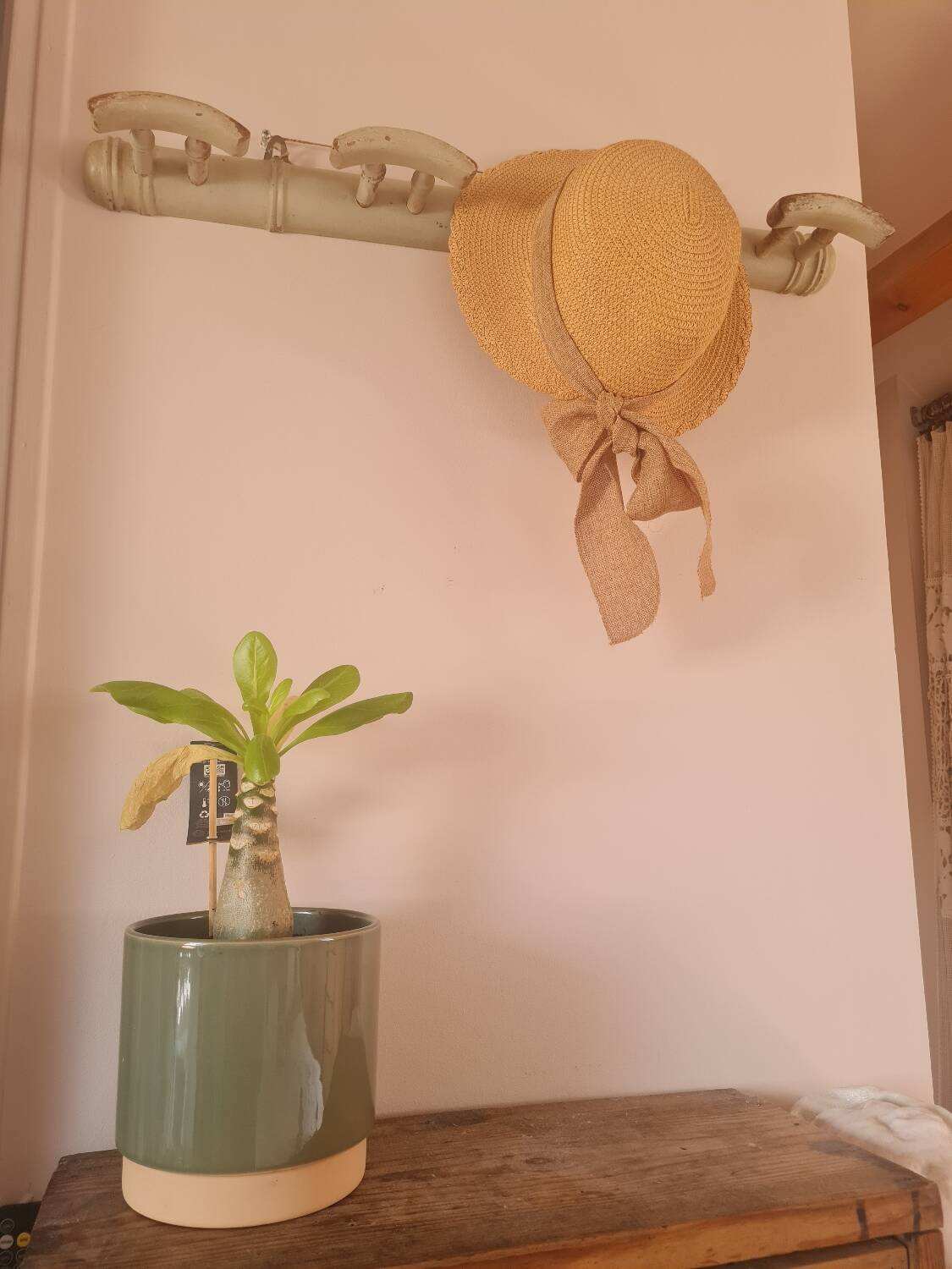 Coat and hat rack