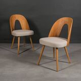 Set of 8 dining chairs by A. Šuman, 1960s