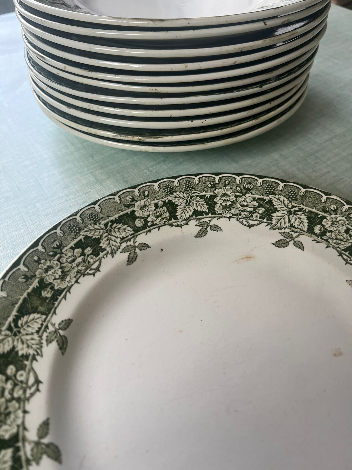 Set of 12 flat plates Moulin des loups model Mûrier