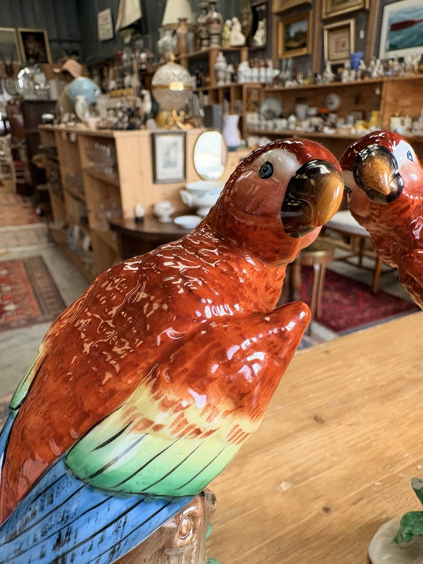 Pair of porcelain parrots Sitzendorf – Germany