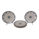 6 flat plates in blue/green