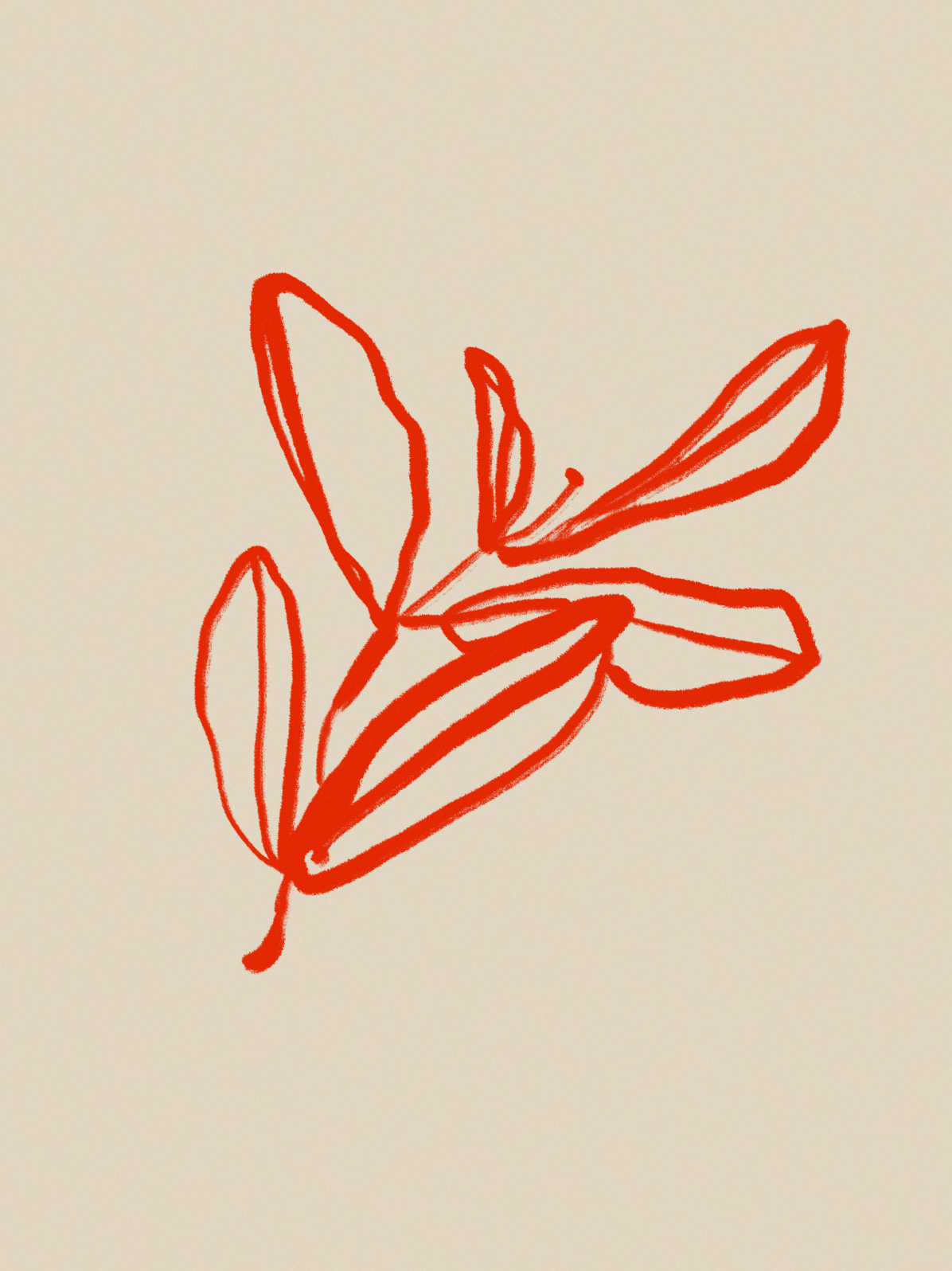 Botanical illustration giclee print, 50x70