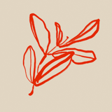 Botanical illustration giclee print, 50x70