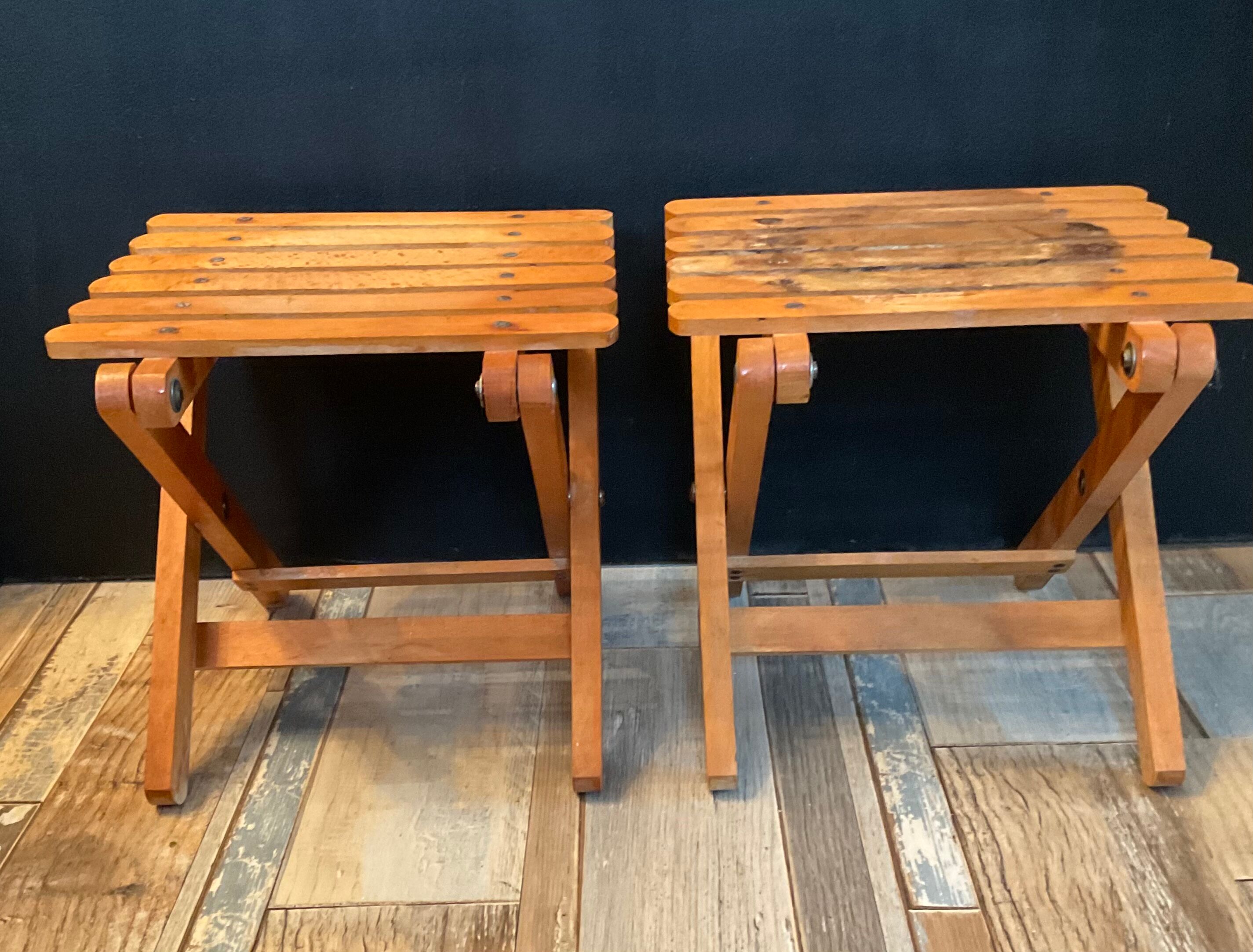 Duo of vintage folding wooden plant doors