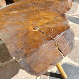 Elm tree trunk coffee table