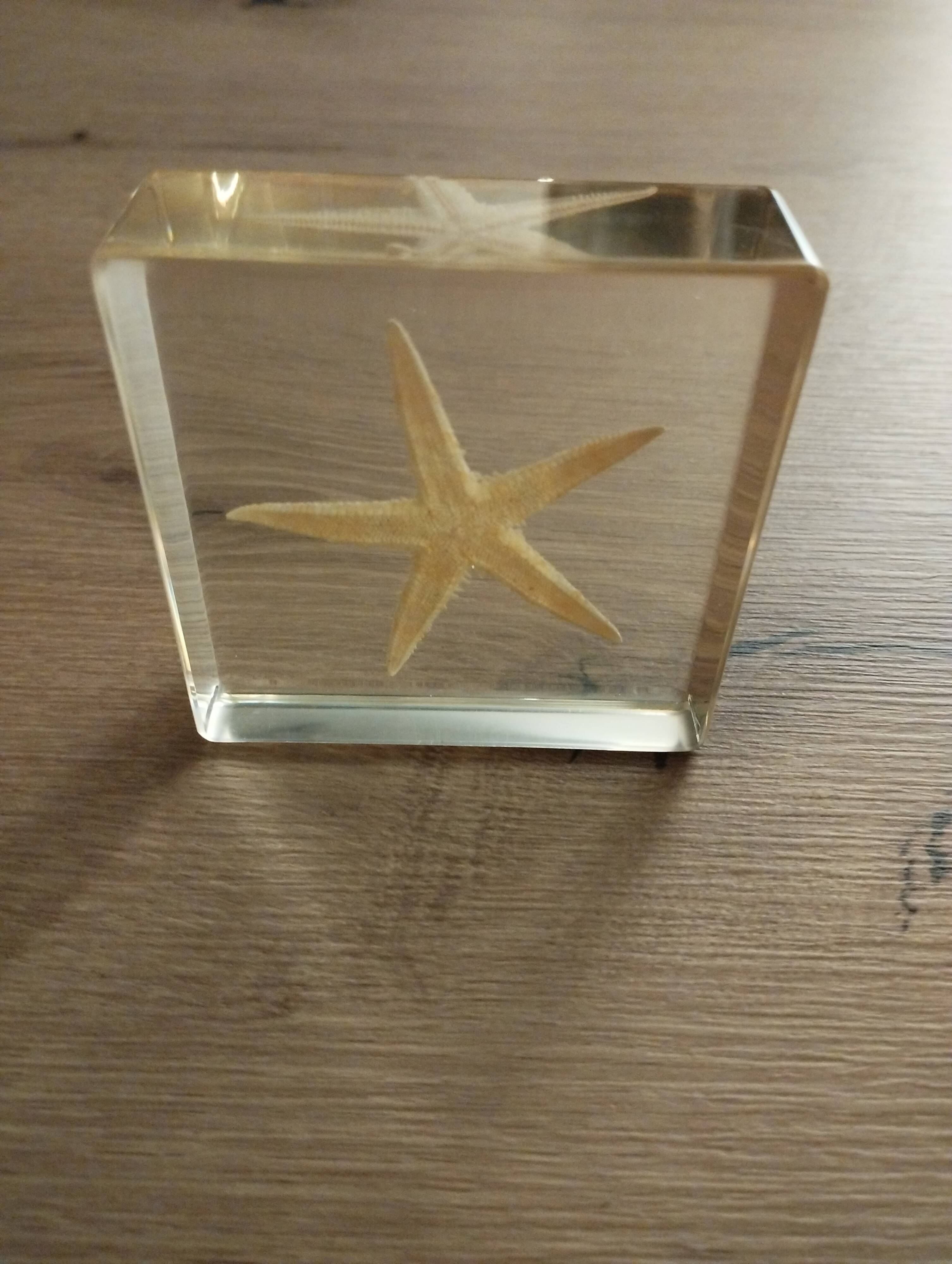 Starfish resin block