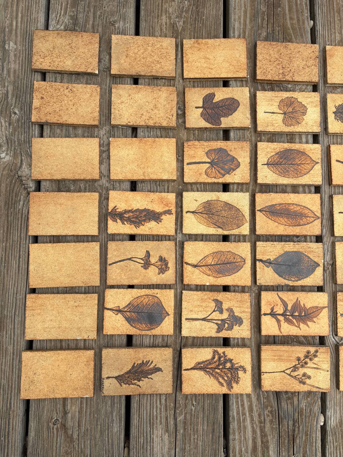Set of 52 Vallauris herbarium tiles signed Capron