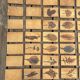 Set of 52 Vallauris herbarium tiles signed Capron