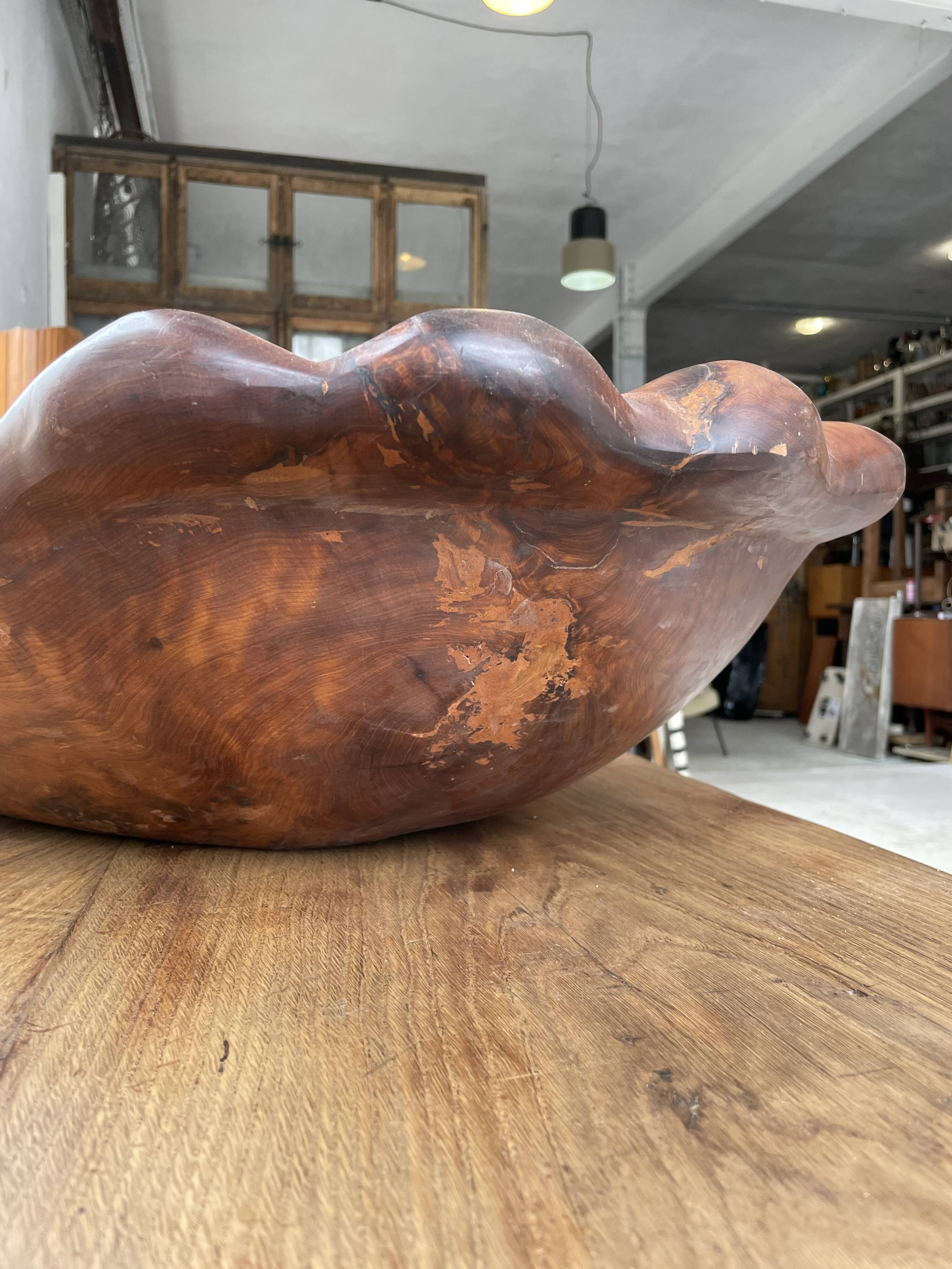 XL thuja root wooden dish