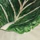 Large cabbage leaf plate Gerber – French barbotine – decorative piece