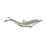 Bottle opener dolphin bottle