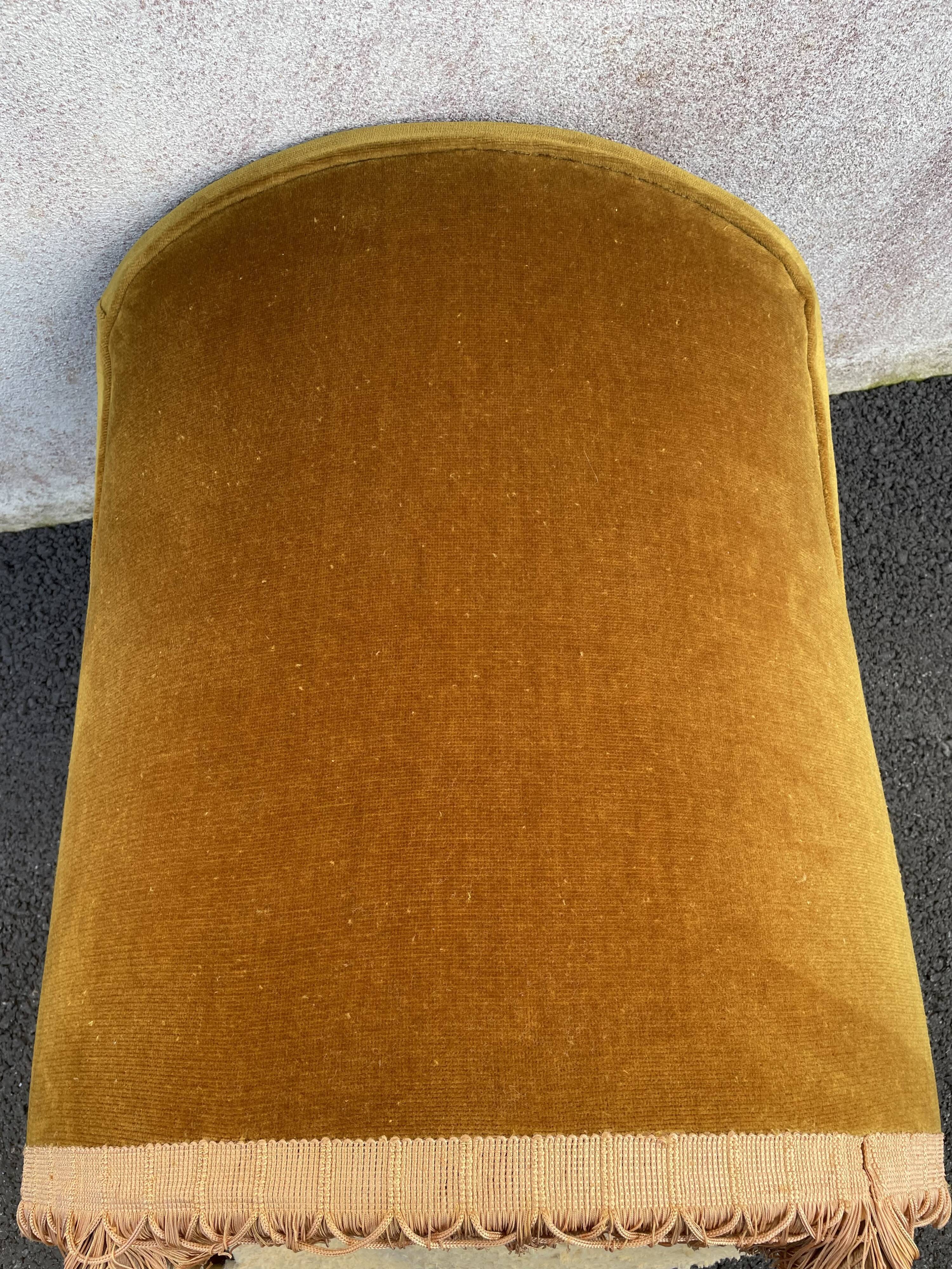 Padded golden yellow velvet toad