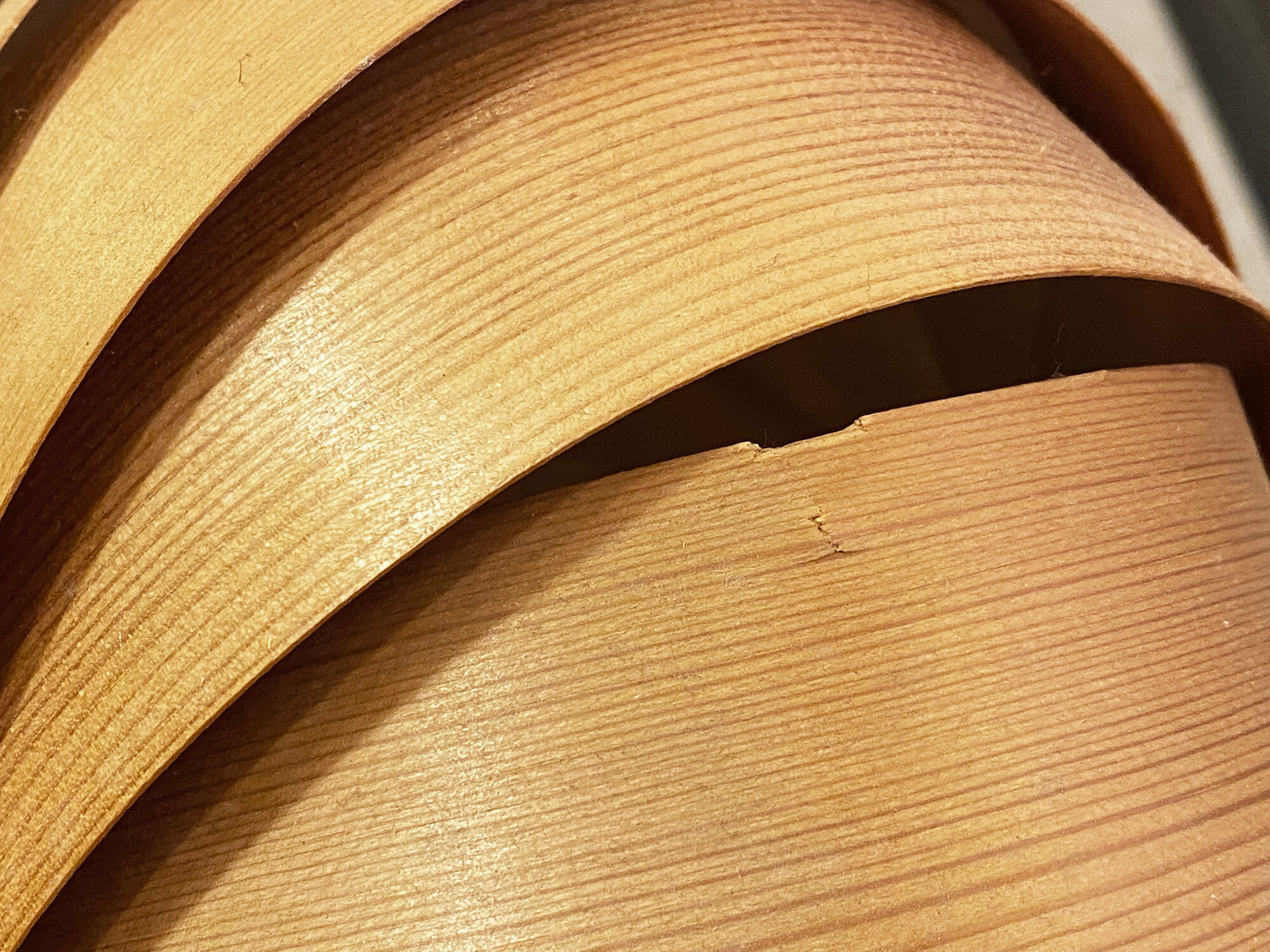 Pine veneer wall lamp/visor light by Translandia. Denmark 1960s