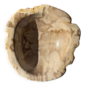 Coupe en bois pétrifié ronde beige D21- 3780