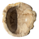 Round beige petrified wood bowl D21- 3780