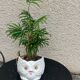 Cache pot owl glazed ceramic white slip earthenware siol Portugal