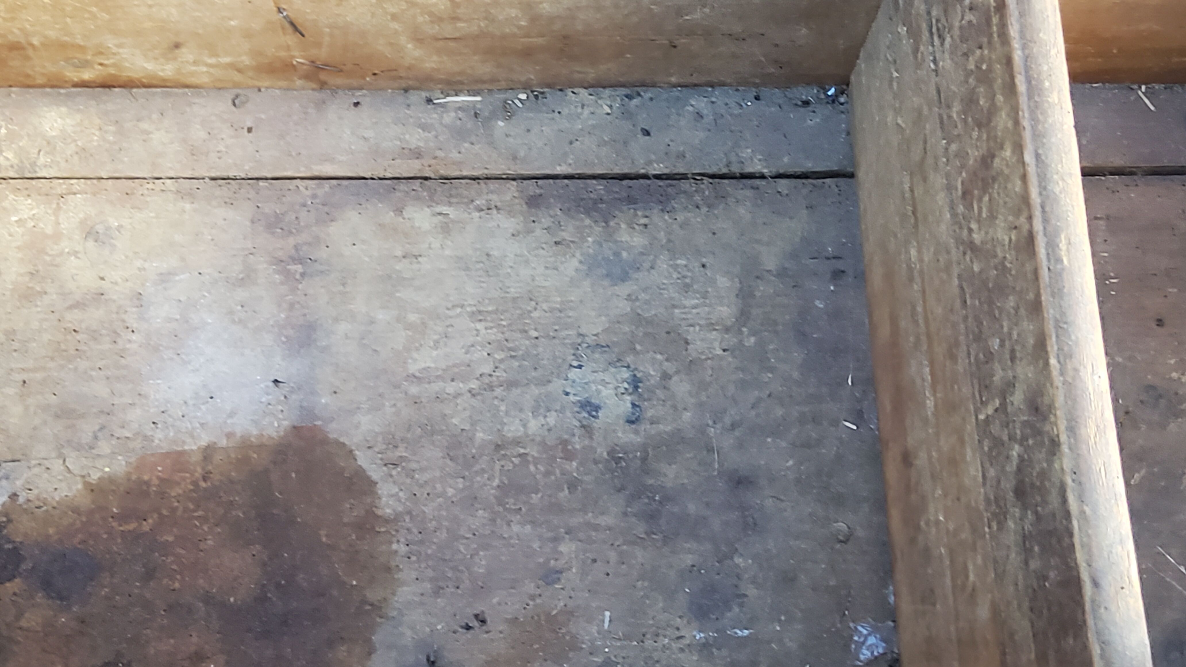 Alsatian polychrome wedding chest eighteenth -nineteenth century