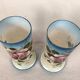 Pair of opaline vases with enameled decoration, late 19th century