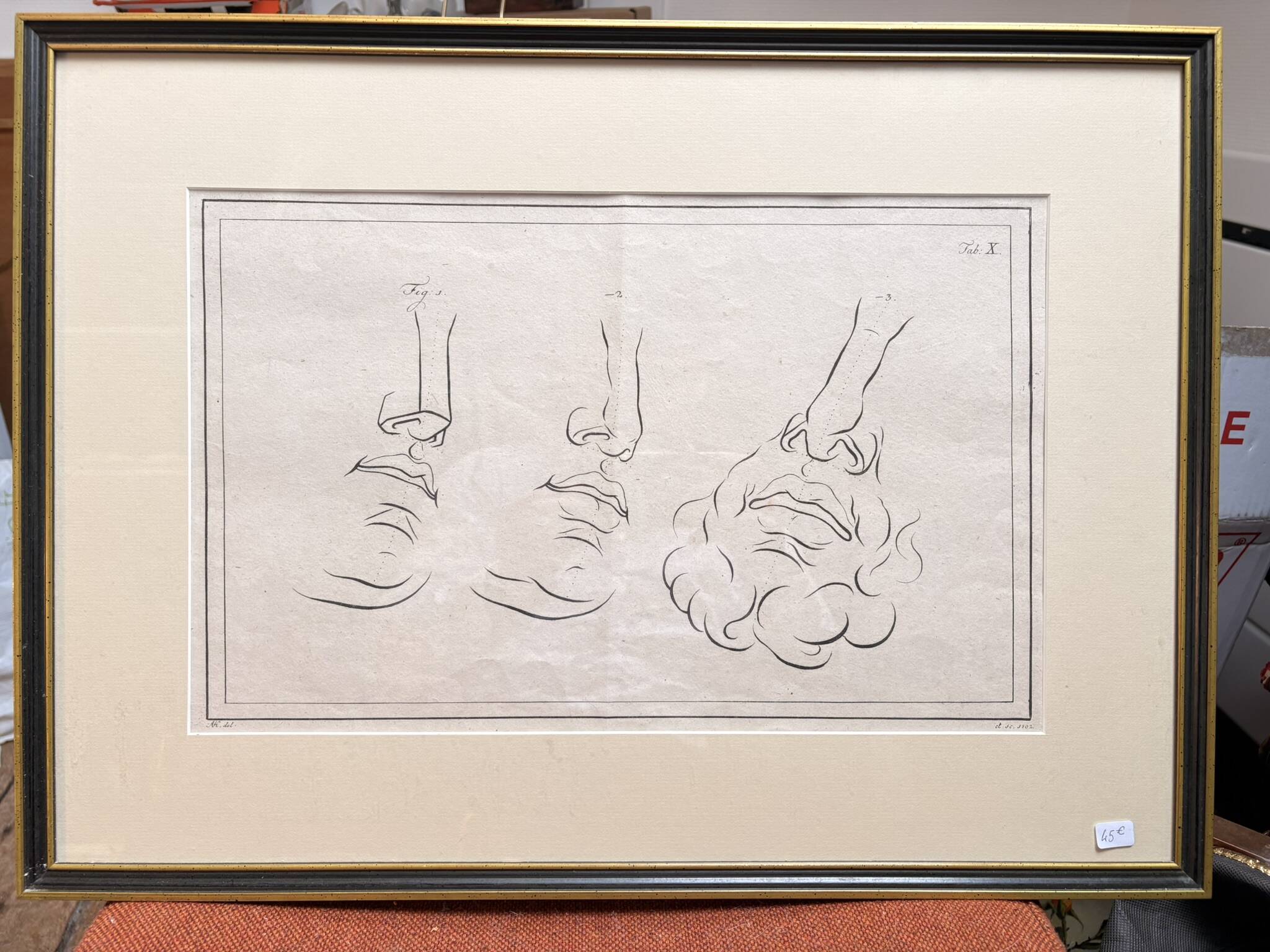 19th Century Gravure Anatomy Nose Mouth Plate Head Morphology Bernard Julien