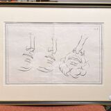 19th Century Gravure Anatomy Nose Mouth Plate Head Morphology Bernard Julien