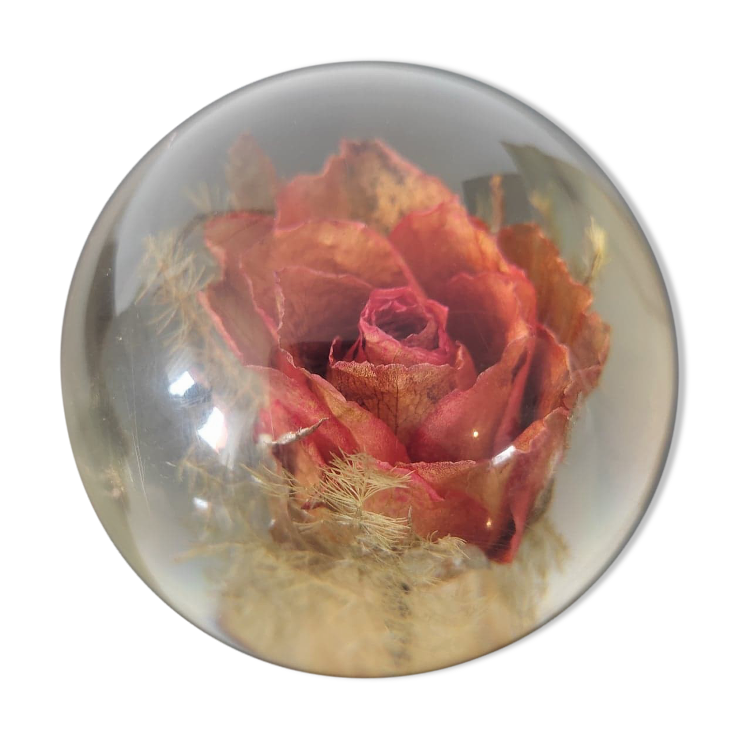 Presse papier signé «Hafod Grange Paperweights» fabriqué en Angleterre