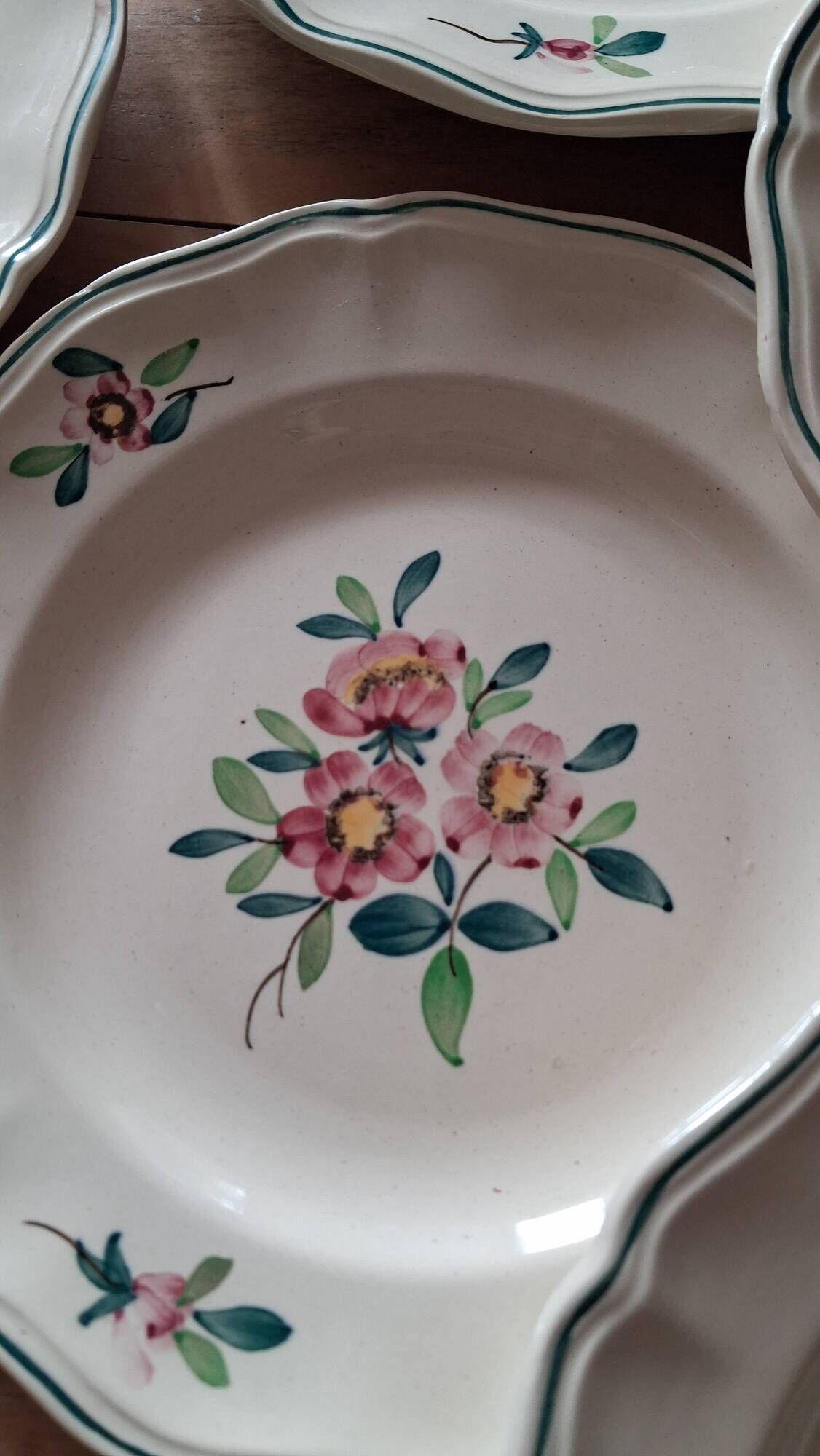 Amazonas plates Sarreguemines